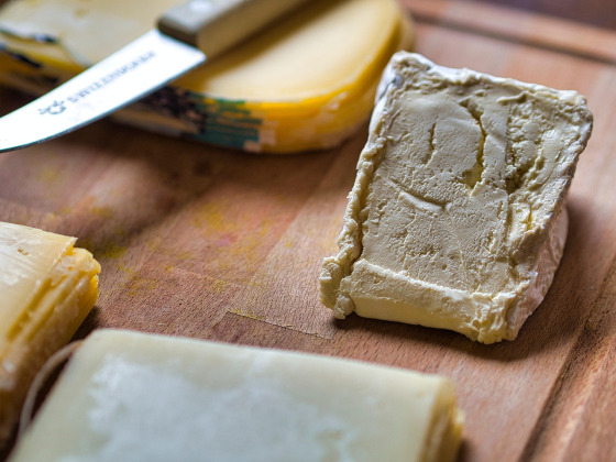 cheese dairy products